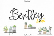 Bentley | Script