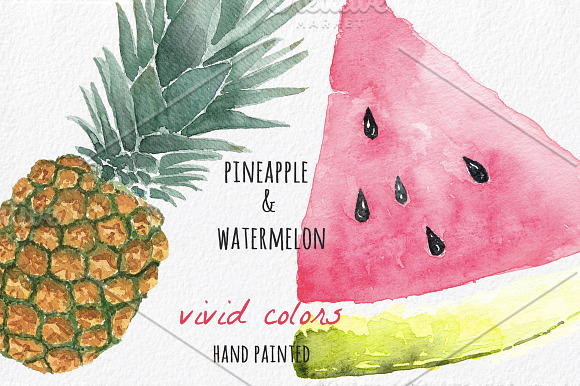 Tropical Clipart - Hand painted in Illustrations - product preview 5