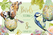 BIRDS FEEDING - Clipart set