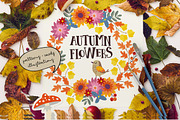 Autumn flowers graphic collection