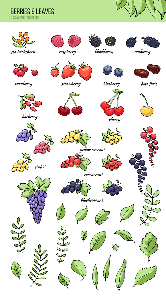 Fruit&berry clipart + label template in Illustrations - product preview 2