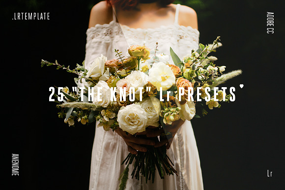 25 the Knot Lightroom Presets in Photoshop Plugins - product preview 3