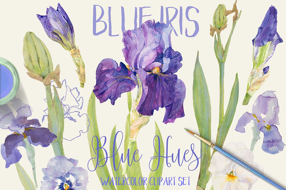 BLUE IRIS - watercolor clipart set