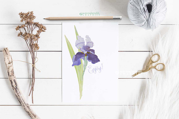 BLUE IRIS - watercolor clipart set in Illustrations - product preview 6