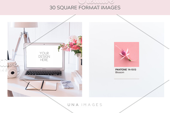 Instagram Photo Bundle in Instagram Templates - product preview 6