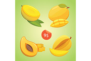 Mango fruits vector illustration