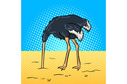 Ostrich hid its head in the sand pop art vector