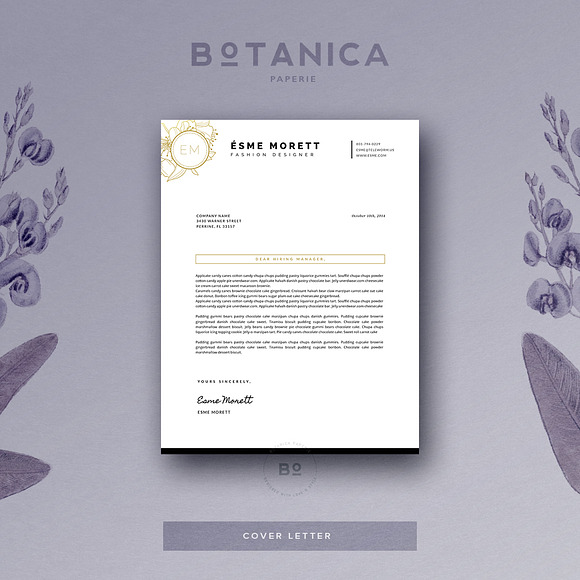 Feminine Resume Template in Resume Templates - product preview 2
