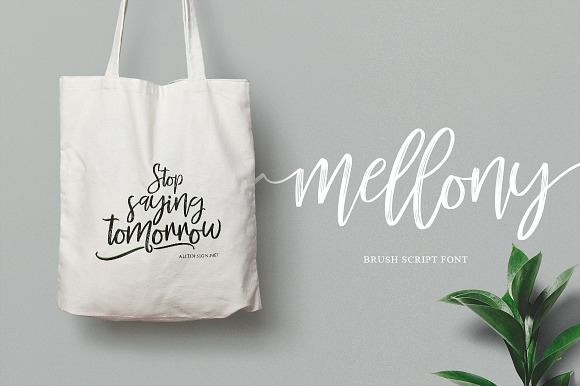 Mellony brush script font in Brush Fonts - product preview 7