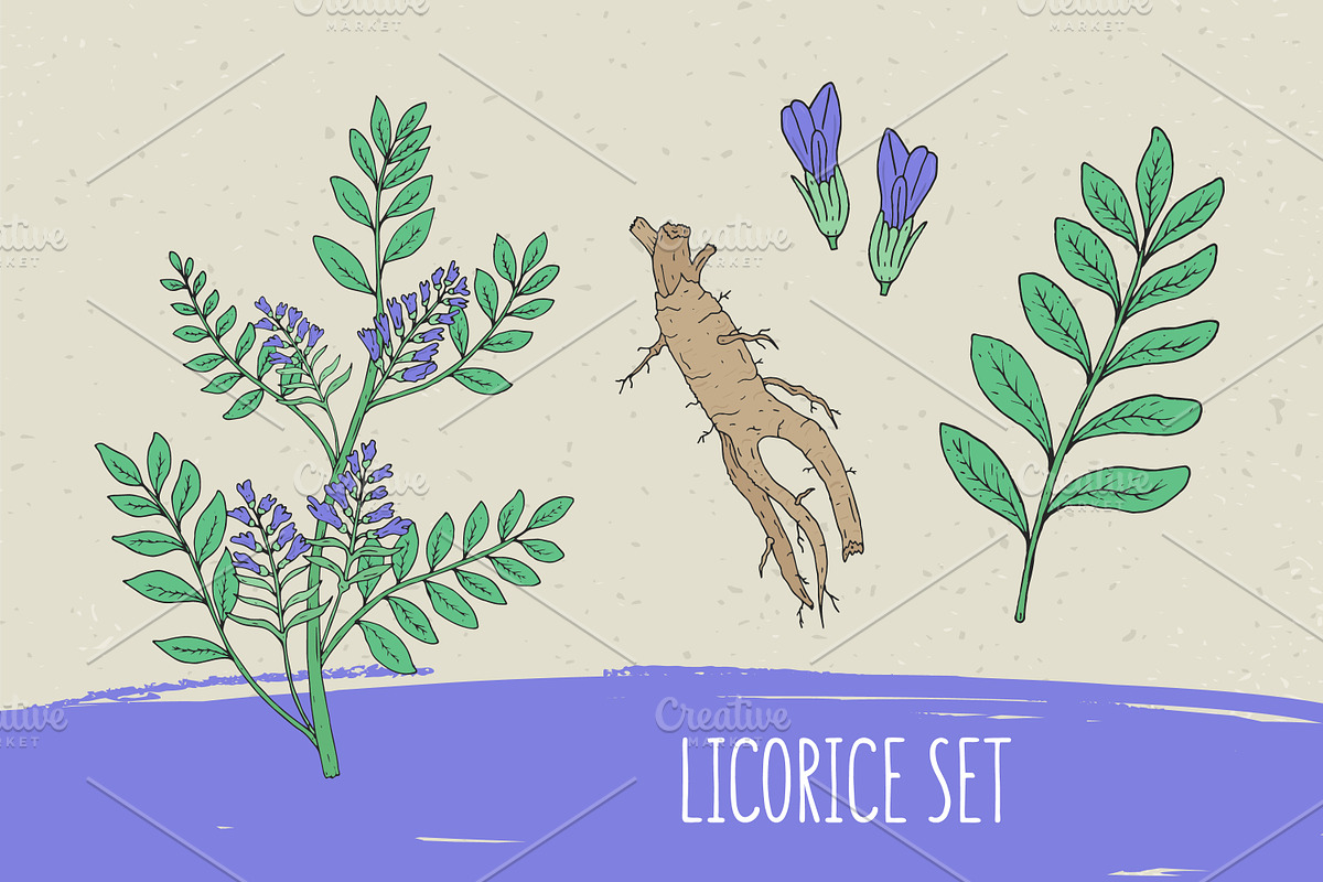 Licorice set​ and seamless pattern in Illustrations - product preview 8