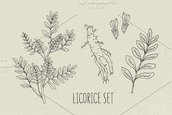 Licorice set​ and seamless pattern in Illustrations - product preview 1