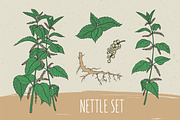 Nettle set​ and seamless pattern