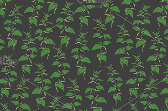 Nettle set​ and seamless pattern in Illustrations - product preview 2