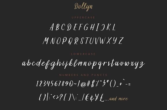 Dollyn Script - Casual Playful Font in Script Fonts - product preview 8