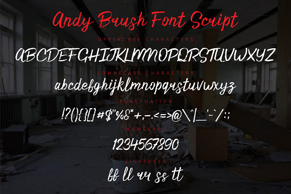 Andy Brush Font Script in Script Fonts - product preview 5