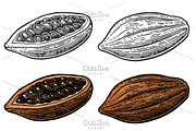 Leaves and fruits of cocoa beans