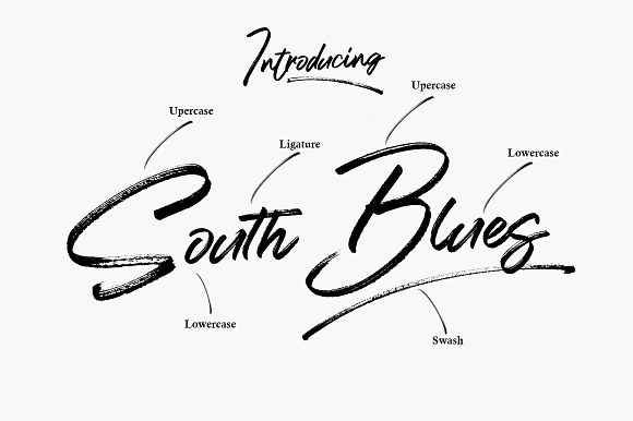 South Blues in Script Fonts - product preview 8