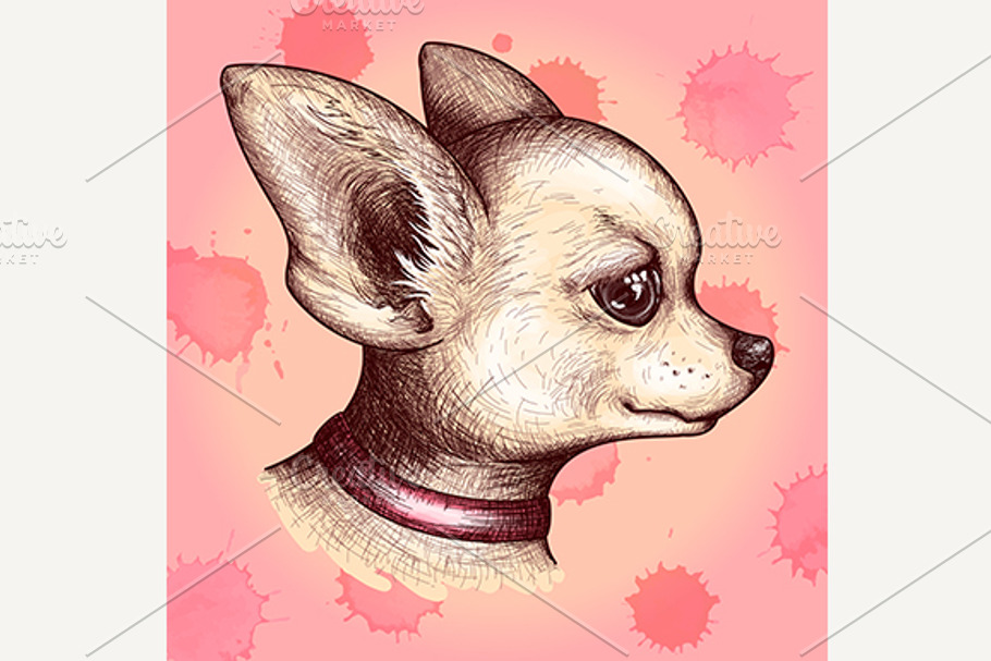 Watercolor dog pet chihuahua vector in Illustrations - product preview 8