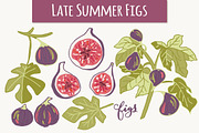 Figs + Fig Leaves Illustrations
