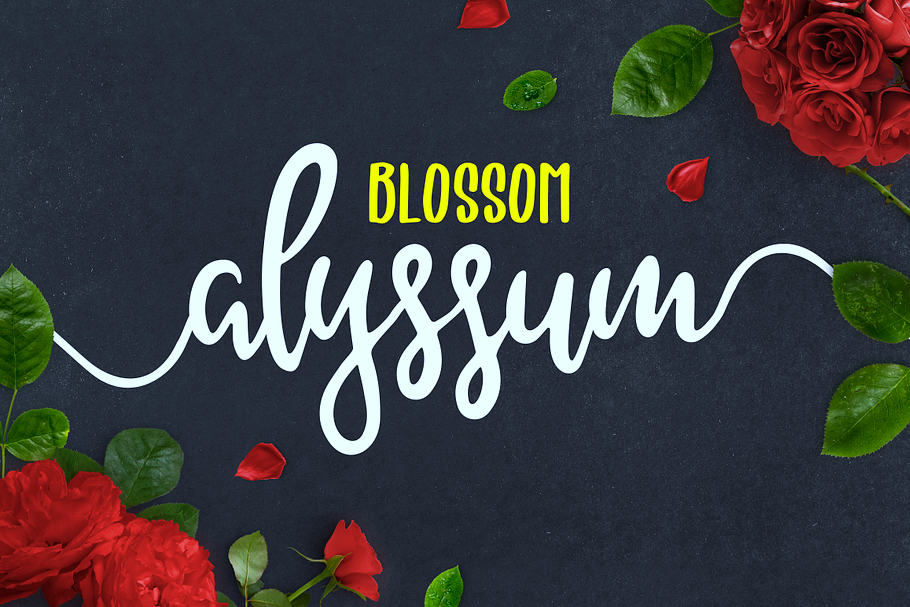 Alyssum Blossom in Script Fonts - product preview 8