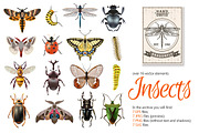 Insects Vector Set