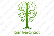 Brain Tree Concept