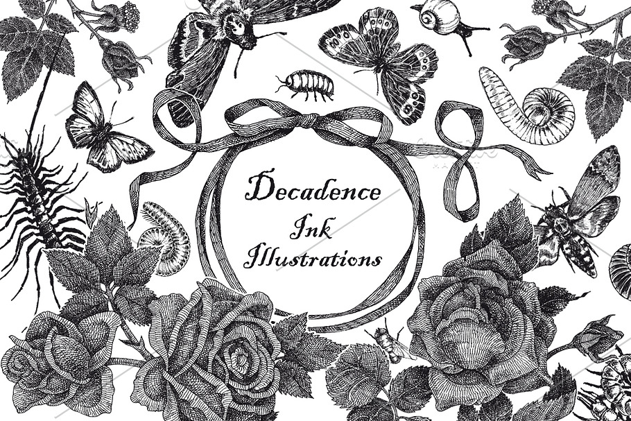 Decadence Ink Illustrations