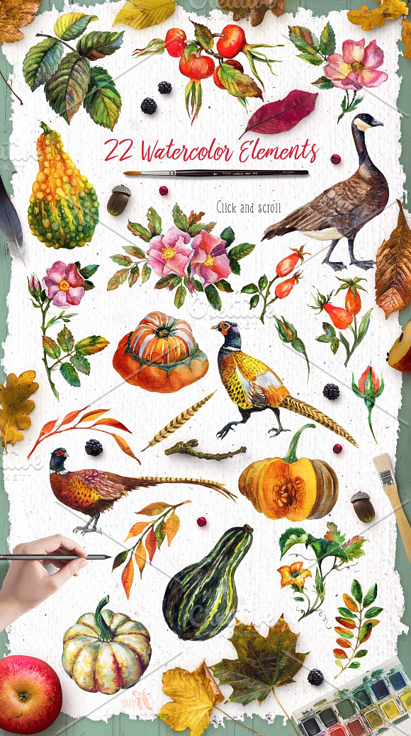 Watercolor Rosehip & Pumpkins Set in Illustrations - product preview 1
