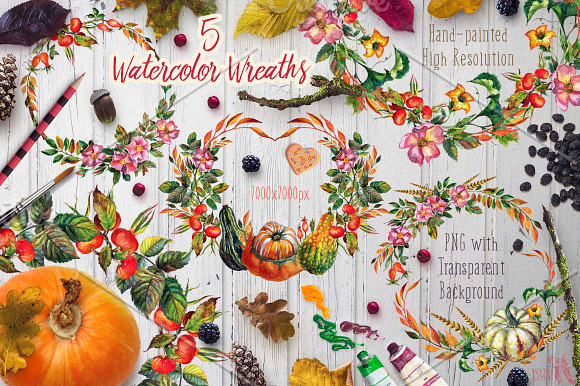 Watercolor Rosehip & Pumpkins Set in Illustrations - product preview 3