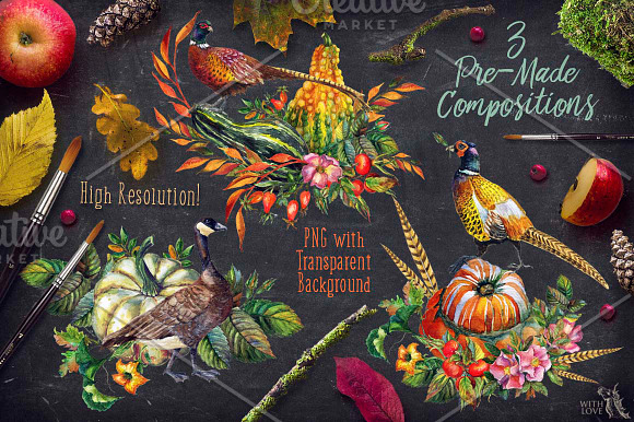Watercolor Rosehip & Pumpkins Set in Illustrations - product preview 5