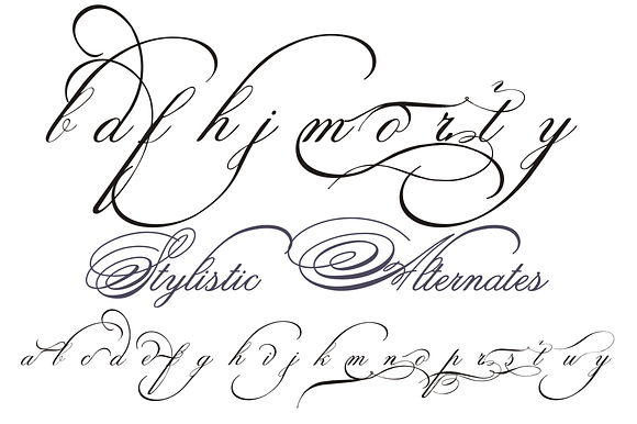 Spencerian Palmer Penmanship PRO in Script Fonts - product preview 4