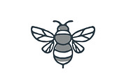 Bumblebee Bee Icon