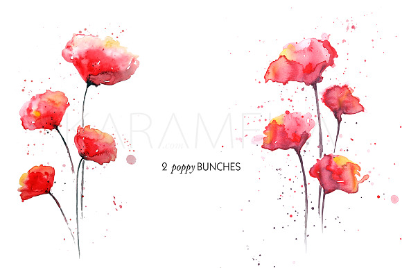 Watercolor Poppies Clipart in Illustrations - product preview 4