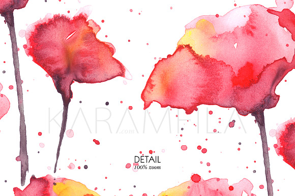 Watercolor Poppies Clipart in Illustrations - product preview 8