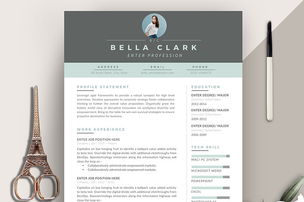 Professional Resume Template RE002