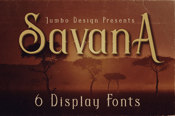 14 Vintage Display Fonts - 76 Fonts in Vintage Fonts - product preview 19