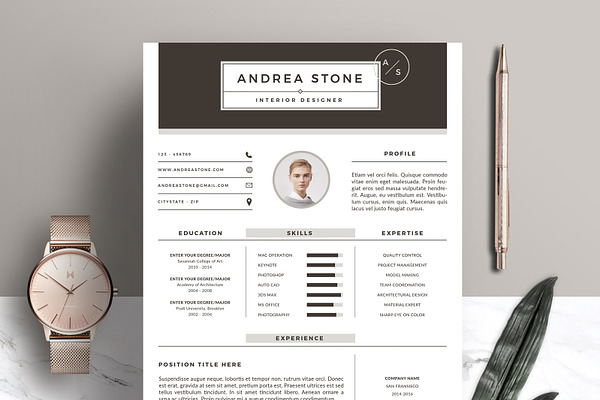 Professional Resume Template RE003
