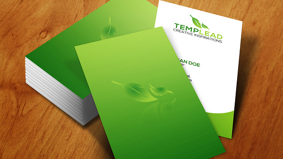 Corporate Business Card SE0261 in Card Templates - product preview 2