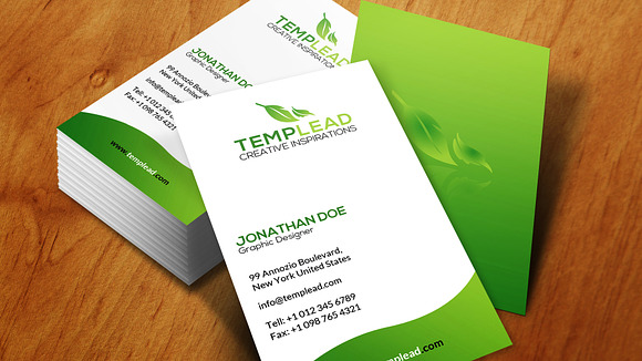 Corporate Business Card SE0261 in Card Templates - product preview 3