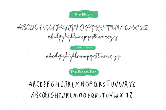 The Bloom Project in Script Fonts - product preview 6