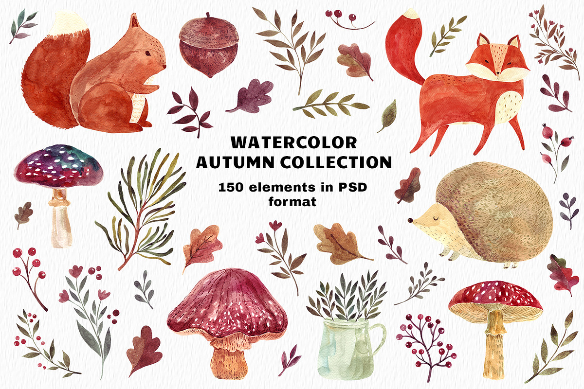 Watercolor autumn collection in Illustrations - product preview 8