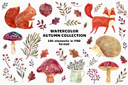 Watercolor autumn collection