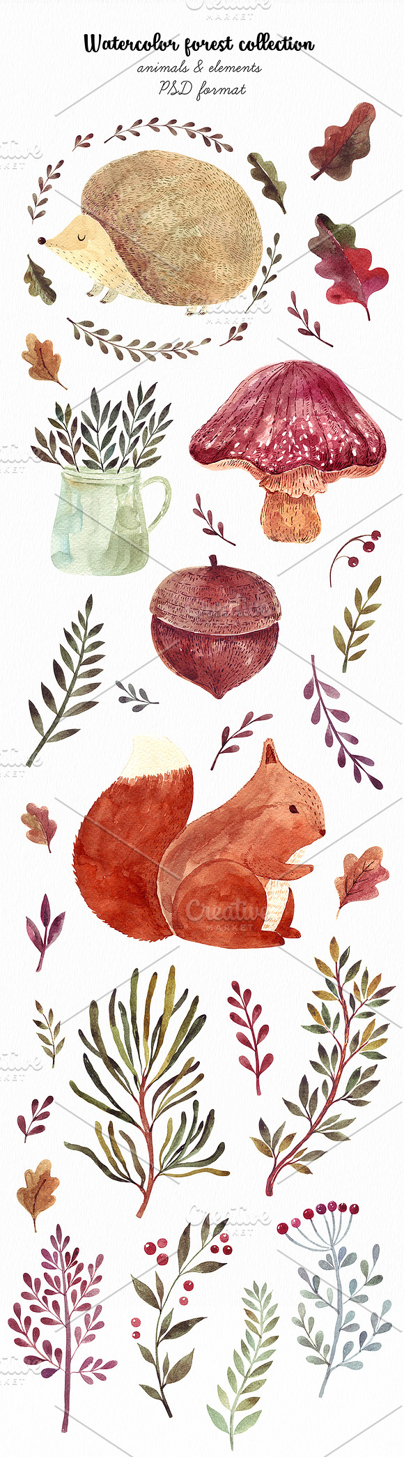 Watercolor autumn collection in Illustrations - product preview 1