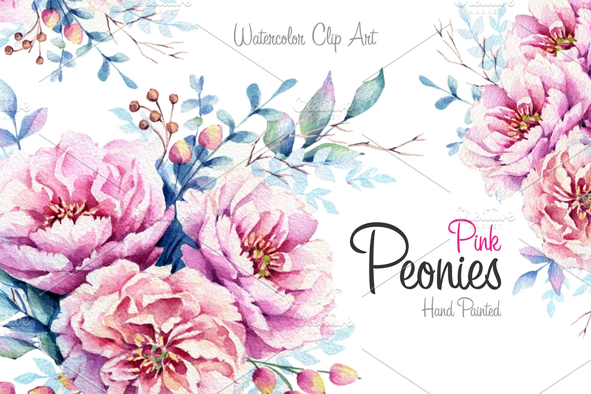 Pink Peonies Watercolor set in Illustrations - product preview 8
