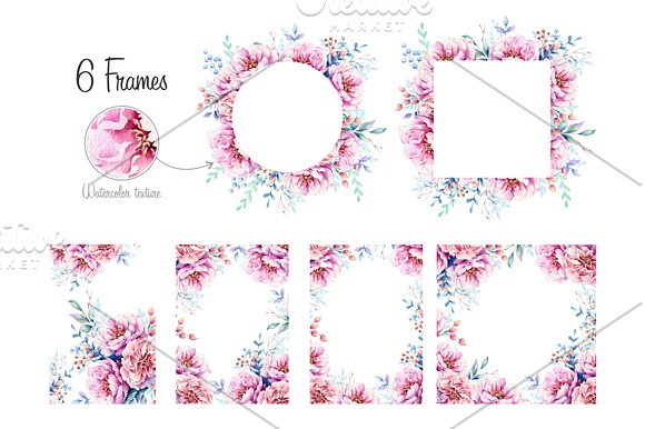 Pink Peonies Watercolor set in Illustrations - product preview 1