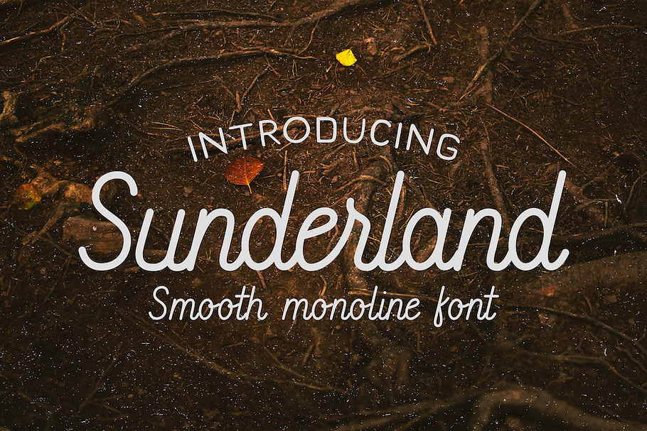 Sunderland - Smooth script font in Script Fonts - product preview 8