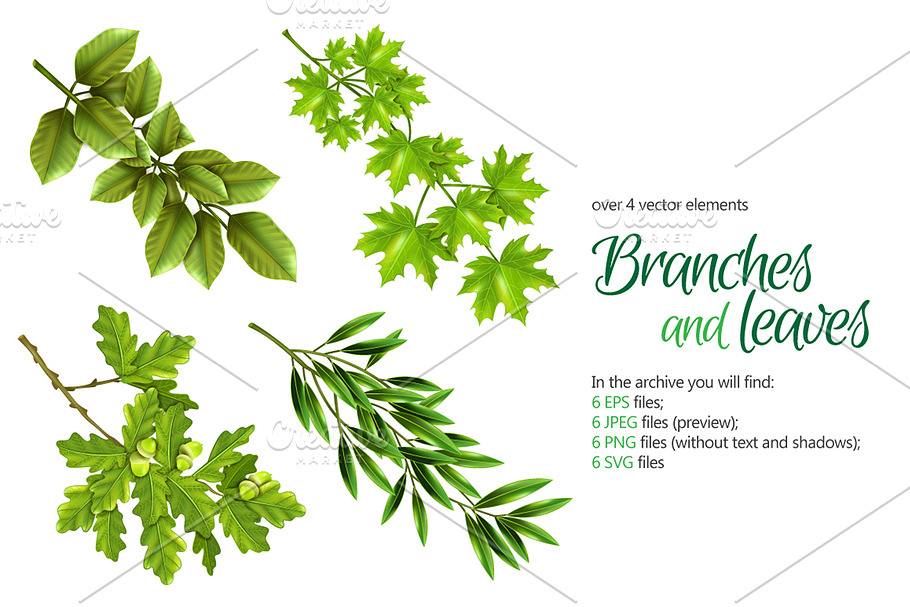 Branches and Leaves Set in Illustrations - product preview 8