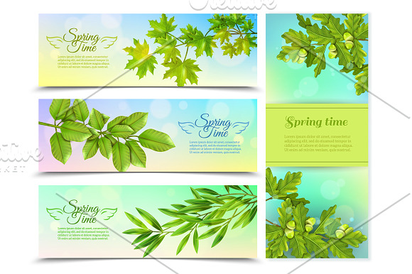 Branches and Leaves Set in Illustrations - product preview 1