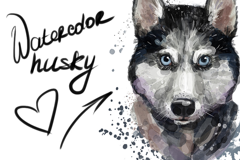Digital watercolor cute husky