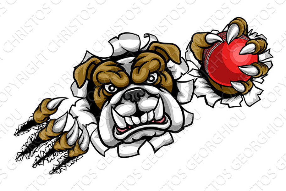 Bulldog Cricket Sports Mascot in Illustrations - product preview 8